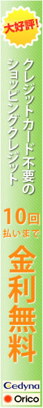 10回払いまで金利無料